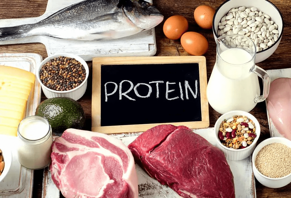 Understanding Your Protein Needs: A Beginner’s Guide